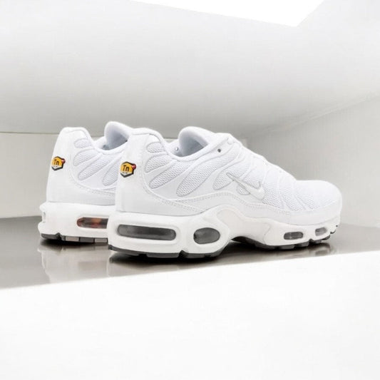 TN BLANCHE